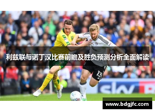 利兹联与诺丁汉比赛前瞻及胜负预测分析全面解读