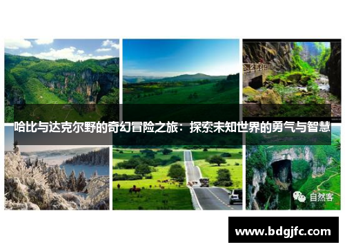 哈比与达克尔野的奇幻冒险之旅：探索未知世界的勇气与智慧