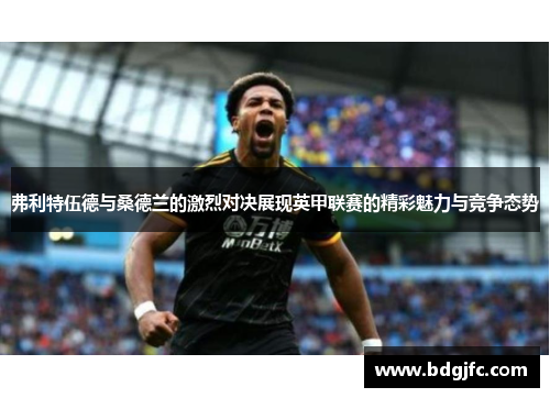 弗利特伍德与桑德兰的激烈对决展现英甲联赛的精彩魅力与竞争态势